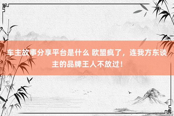 车主故事分享平台是什么 欧盟疯了，连我方东谈主的品牌王人不放过！