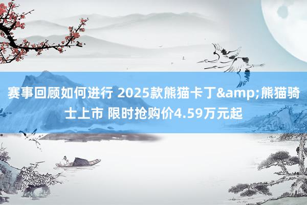 赛事回顾如何进行 2025款熊猫卡丁&熊猫骑士上市 限时抢购价4.59万元起