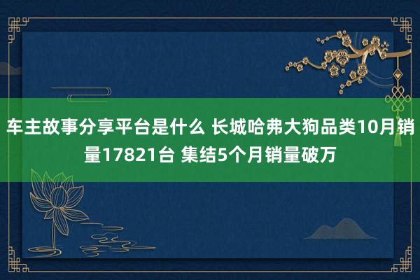 车主故事分享平台是什么 长城哈弗大狗品类10月销量17821台 集结5个月销量破万