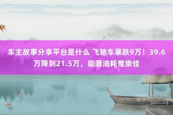 车主故事分享平台是什么 飞驰车暴跌9万！39.6万降到21.5万，能源油耗推崇佳