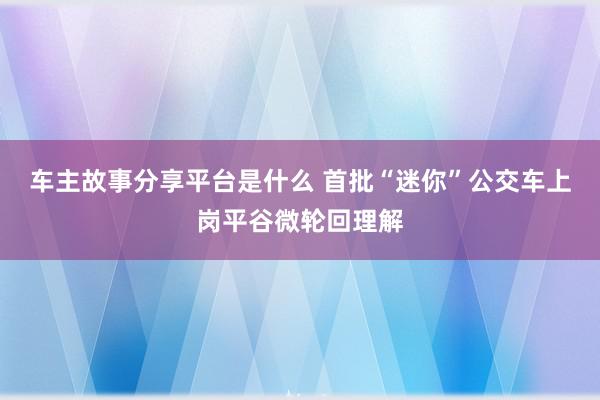 车主故事分享平台是什么 首批“迷你”公交车上岗平谷微轮回理解