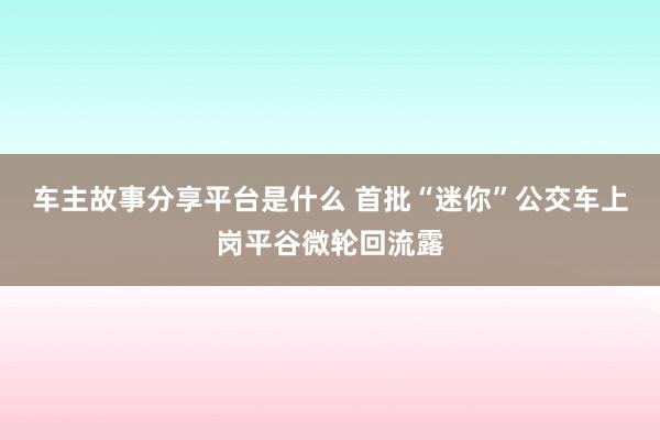 车主故事分享平台是什么 首批“迷你”公交车上岗平谷微轮回流露