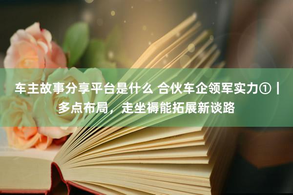 车主故事分享平台是什么 合伙车企领军实力①｜多点布局，走坐褥能拓展新谈路