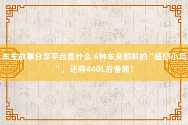 车主故事分享平台是什么 6种车身颜料的“盛怒小鸟”，还有440L后备厢！