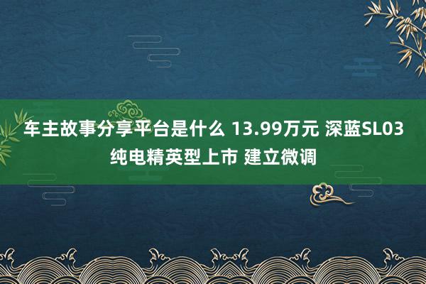 车主故事分享平台是什么 13.99万元 深蓝SL03纯电精英型上市 建立微调