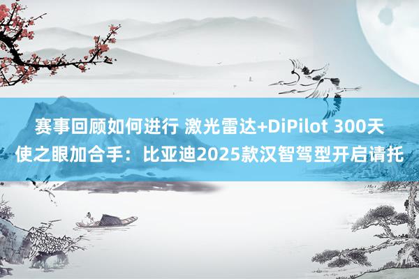 赛事回顾如何进行 激光雷达+DiPilot 300天使之眼加合手：比亚迪2025款汉智驾型开启请托