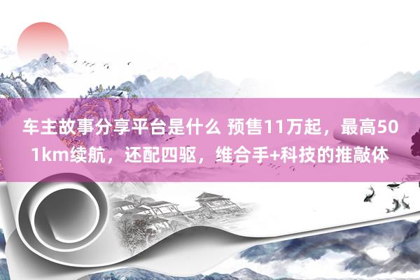 车主故事分享平台是什么 预售11万起，最高501km续航，还配四驱，维合手+科技的推敲体