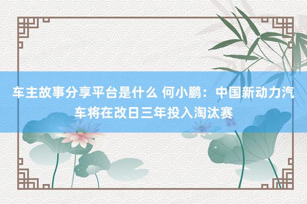 车主故事分享平台是什么 何小鹏：中国新动力汽车将在改日三年投入淘汰赛