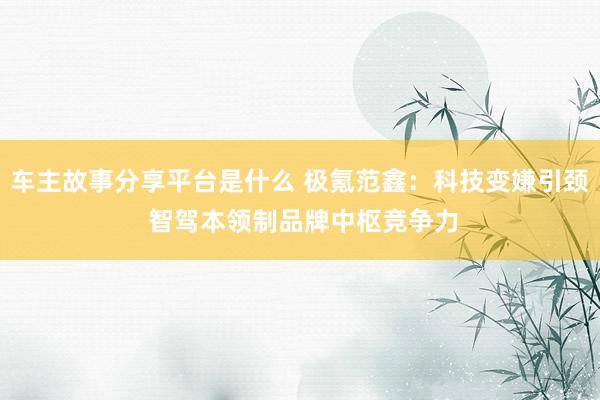 车主故事分享平台是什么 极氪范鑫：科技变嫌引颈 智驾本领制品牌中枢竞争力