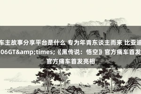 车主故事分享平台是什么 专为年青东谈主而来 比亚迪海豹06GT&times;《黑传说：悟空》官方痛车首发亮相