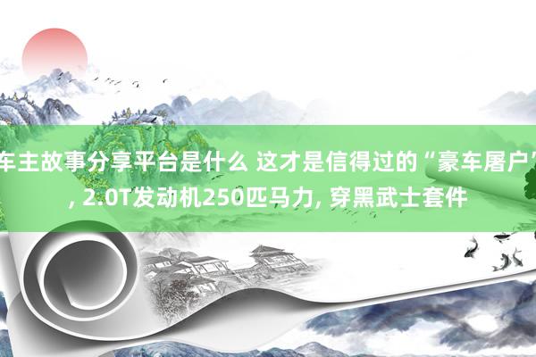 车主故事分享平台是什么 这才是信得过的“豪车屠户”, 2.0T发动机250匹马力, 穿黑武士套件