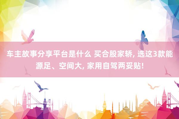 车主故事分享平台是什么 买合股家轿, 选这3款能源足、空间大, 家用自驾两妥贴!