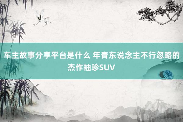 车主故事分享平台是什么 年青东说念主不行忽略的杰作袖珍SUV