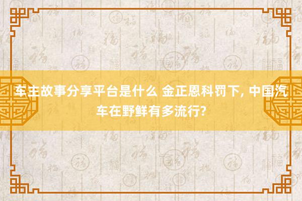 车主故事分享平台是什么 金正恩科罚下, 中国汽车在野鲜有多流行?