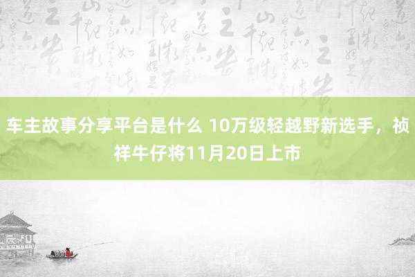 车主故事分享平台是什么 10万级轻越野新选手，祯祥牛仔将11月20日上市